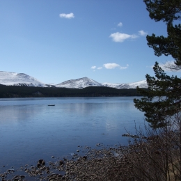 Loch Morlich - Blue Winter