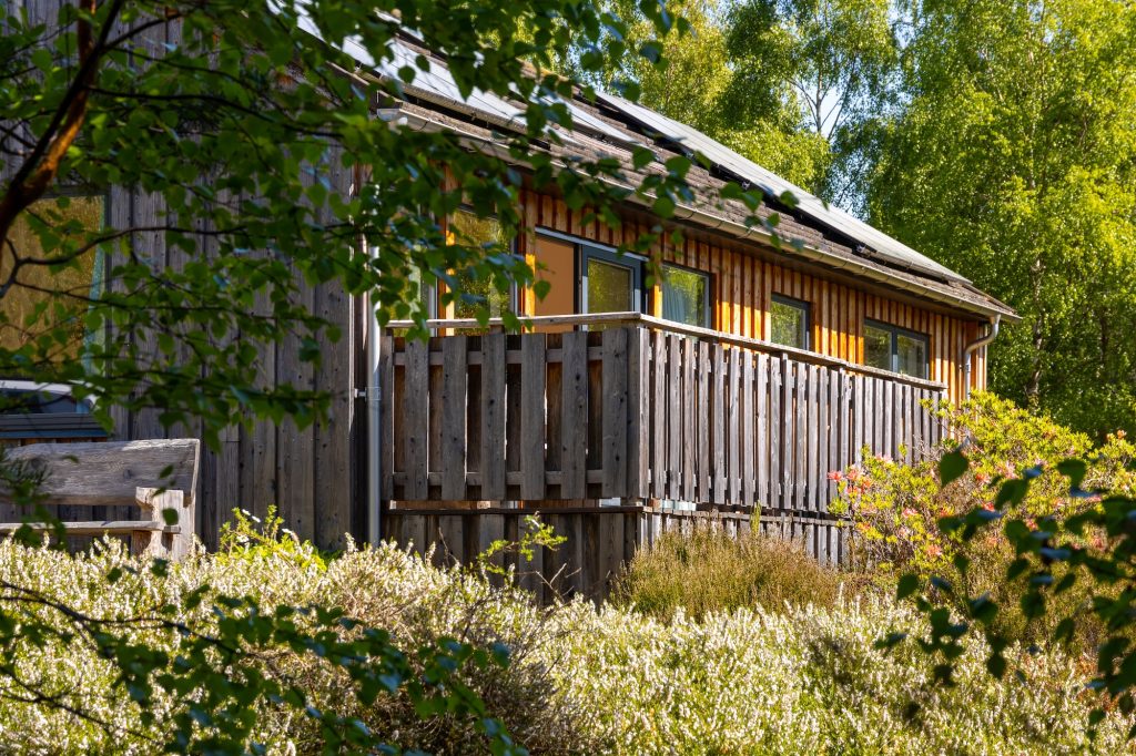 Wooden exterior of self-catering cottage Cairngorms Glencoldon Cottage surrounded by native trees and wild garden